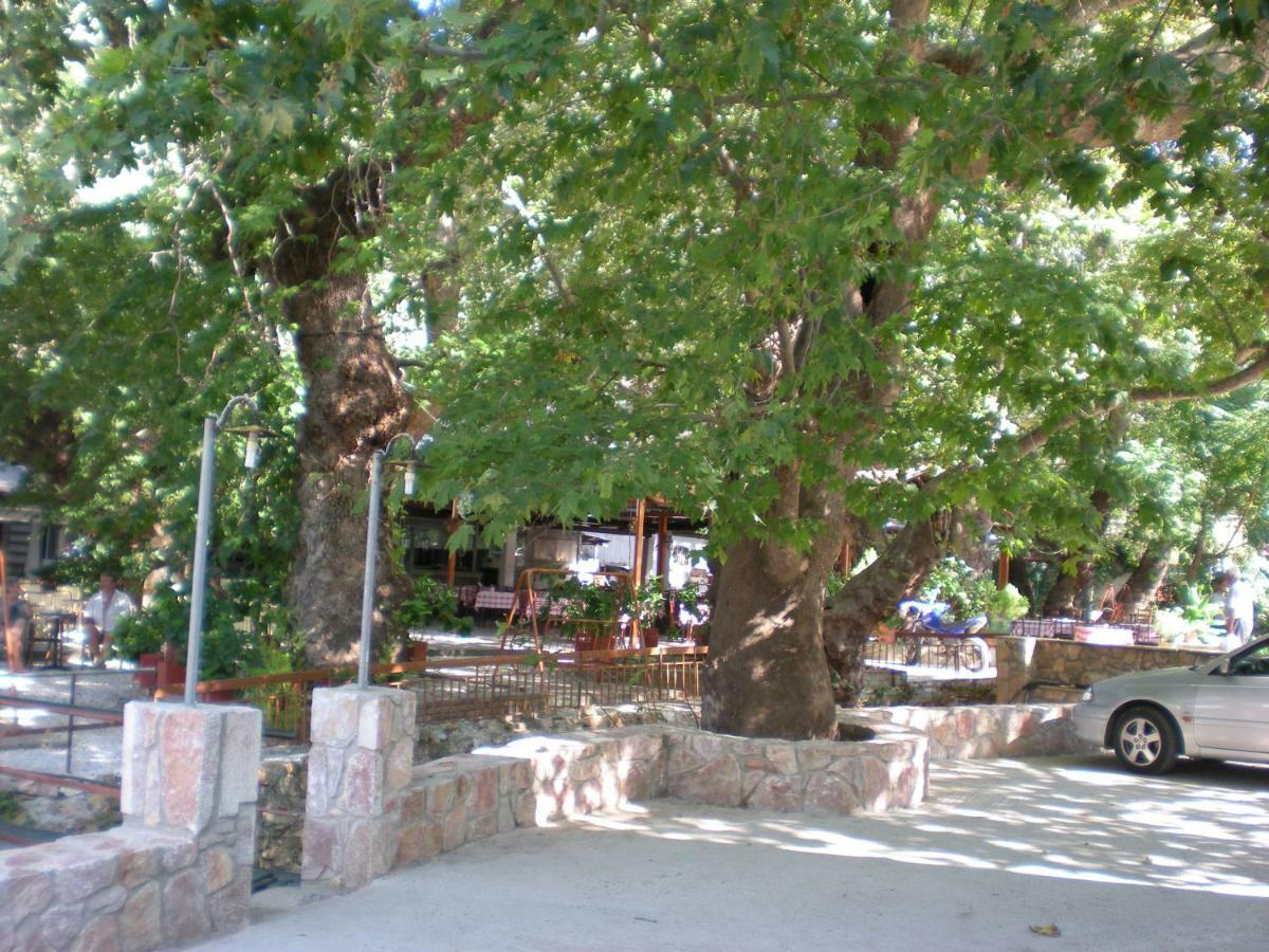 Difo Ξενοδοχείο Λουτρά Αιδηψού Εξωτερικό φωτογραφία